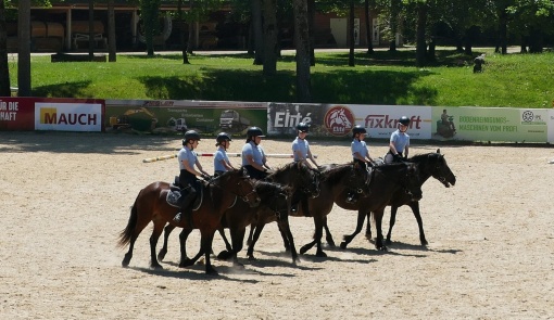 15 Show Team Vörös Ungarn